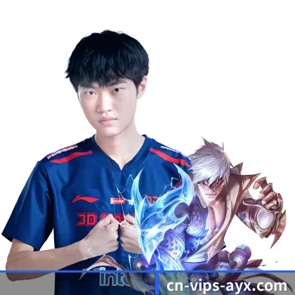 国际化布局(AYX)